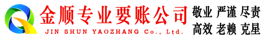 金水清债公司